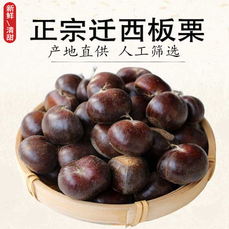 迁西板栗生新鲜栗子地标农品产地直发/3/5斤炒货同款早丰3113