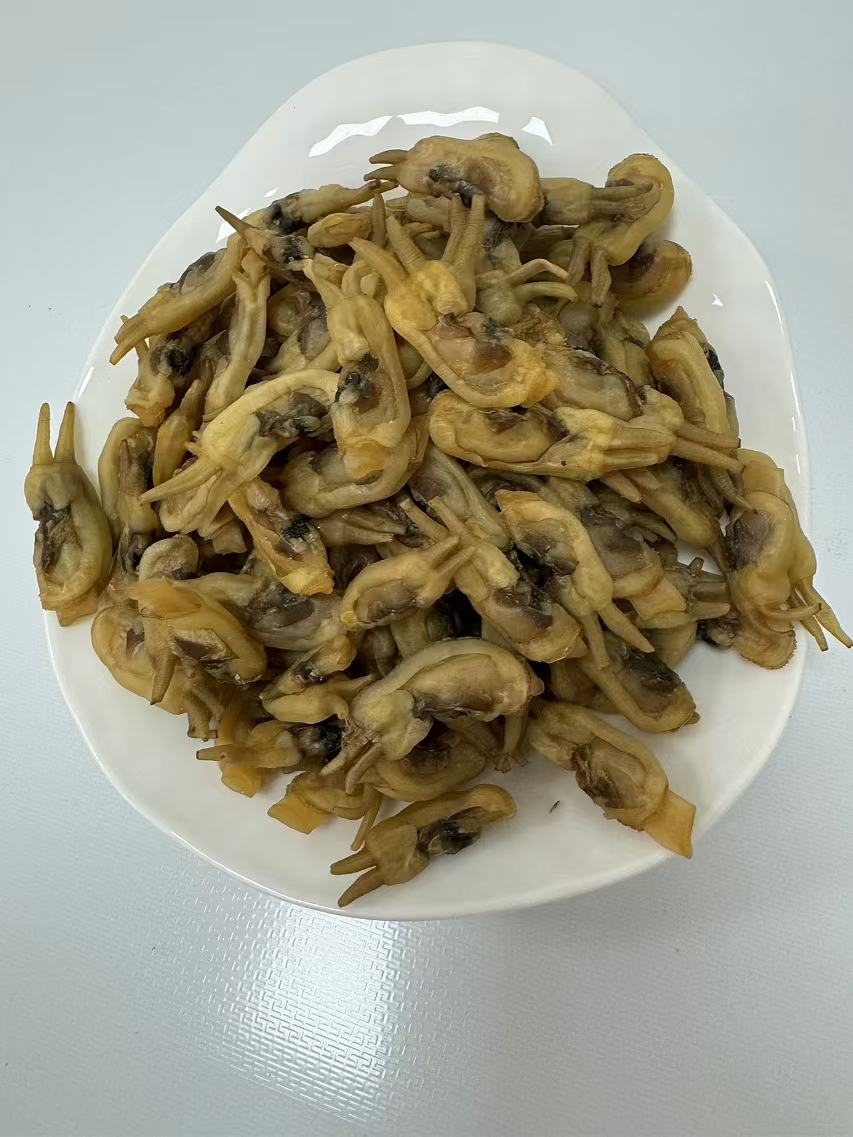 莆田正宗哆头蛏干