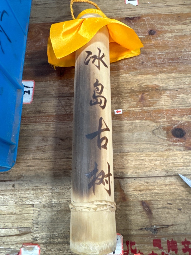 冰岛古树 普洱生茶 500克每条