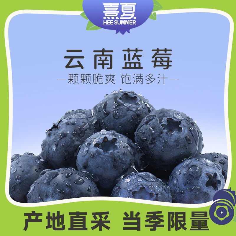 唯蒂云南蓝莓18mm+甄选大果当季现摘新鲜水果空运包邮酸甜多汁