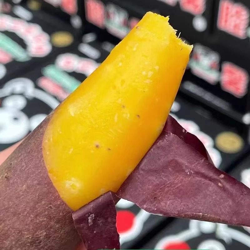 山东红瑶蜜薯榴莲蜜薯