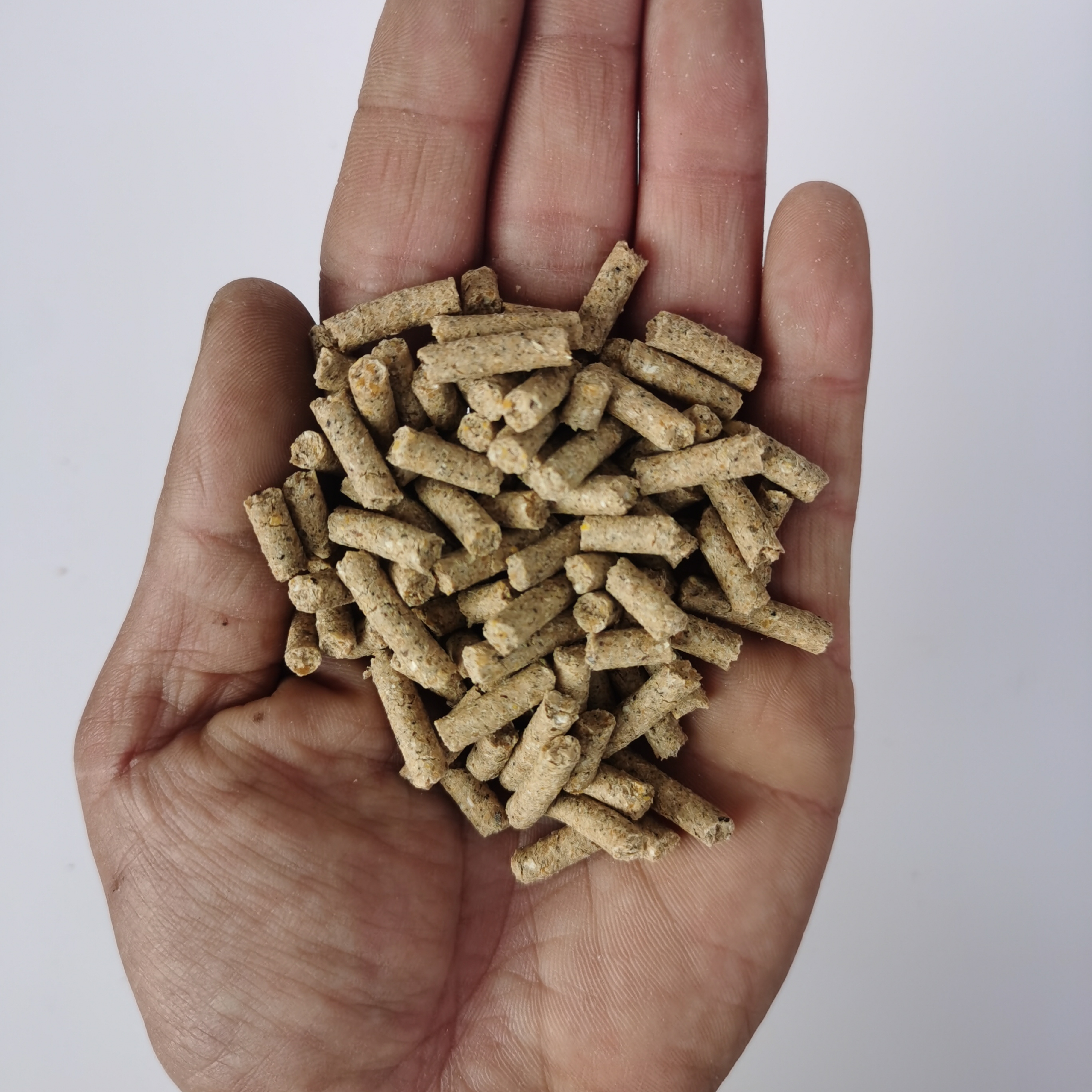 鸡媒营养高蛋白高氨基酸高钙料亮羽通便健康好斗提性换毛料粮零食