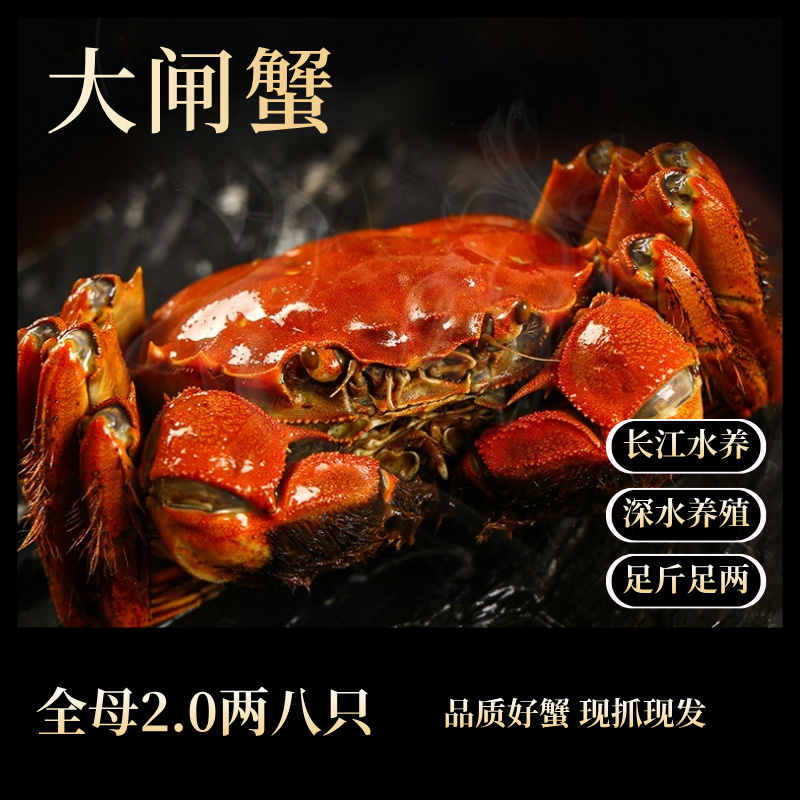 【活蟹】苏州全母2.2-1.9两8只精品大闸蟹长江水深水养黄多膏多蟹