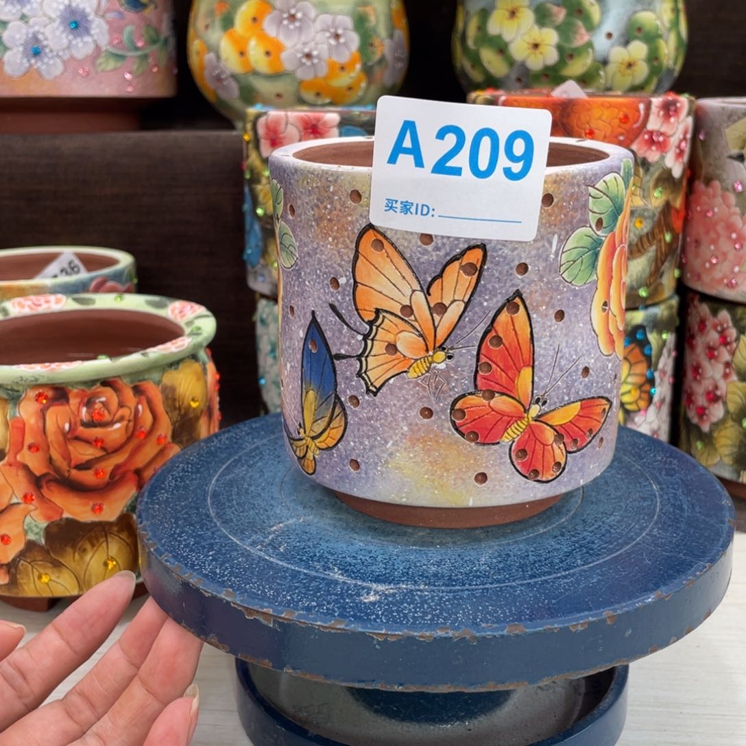 多肉花盆直筒蝴蝶