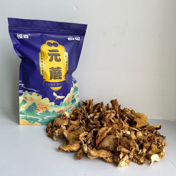 东北元蘑俗称冻蘑