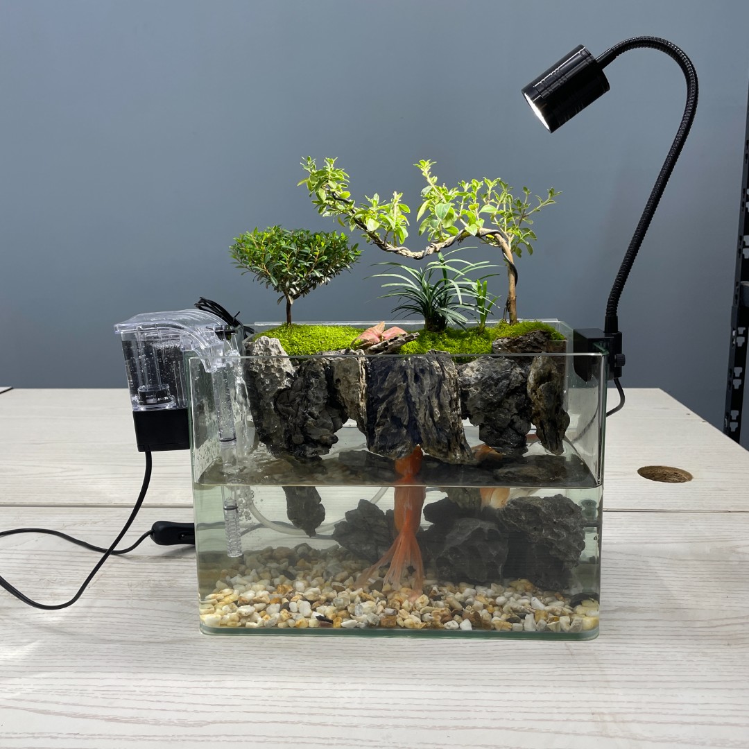 （单景）水陆缸桌面鱼缸造景苔藓微景观成品玻璃客厅卧室（不含缸）