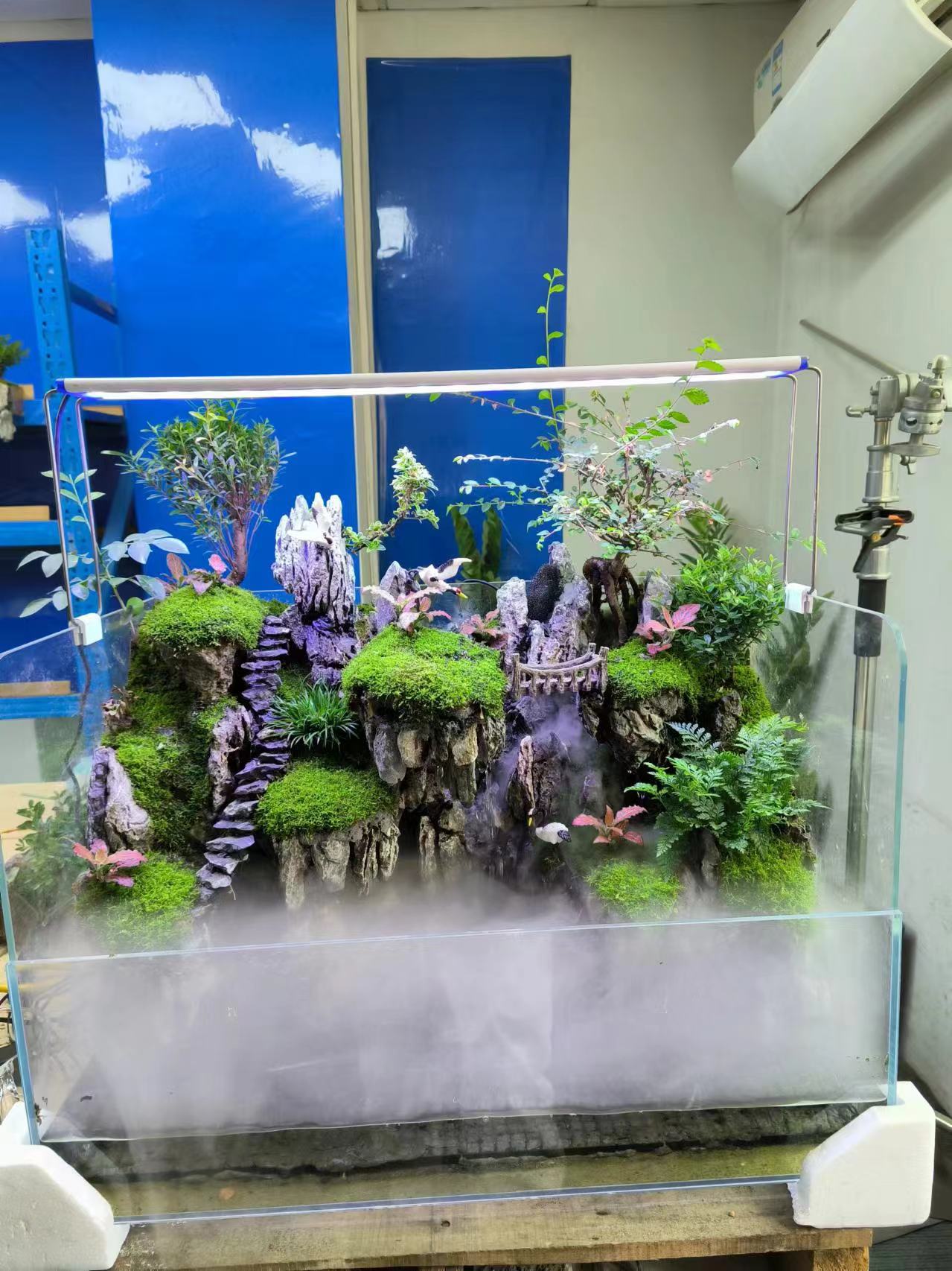 60*35*35水陆缸鱼缸造景微景观真石头真绿植成品发货