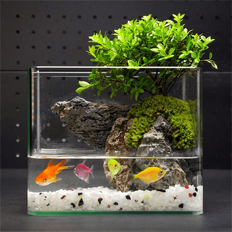 【18*13*15】新品水云涧成品发货创意绿植真植物真苔藓桌面摆件景观