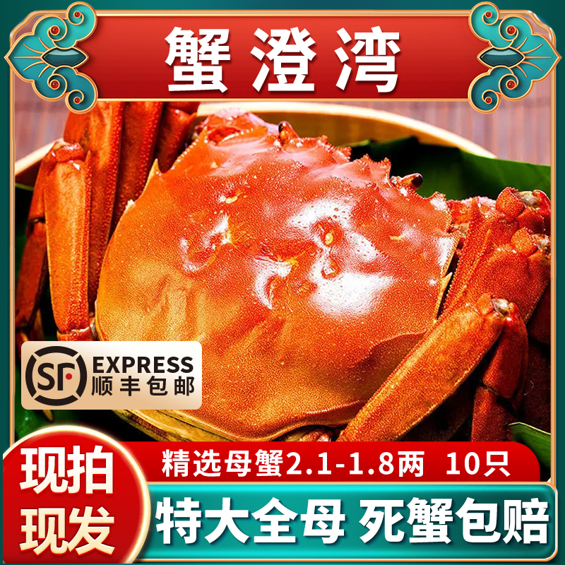 【活蟹】江苏精品蟹全母蟹顺丰冷链包邮1.8-2.1两6-10只礼盒装
