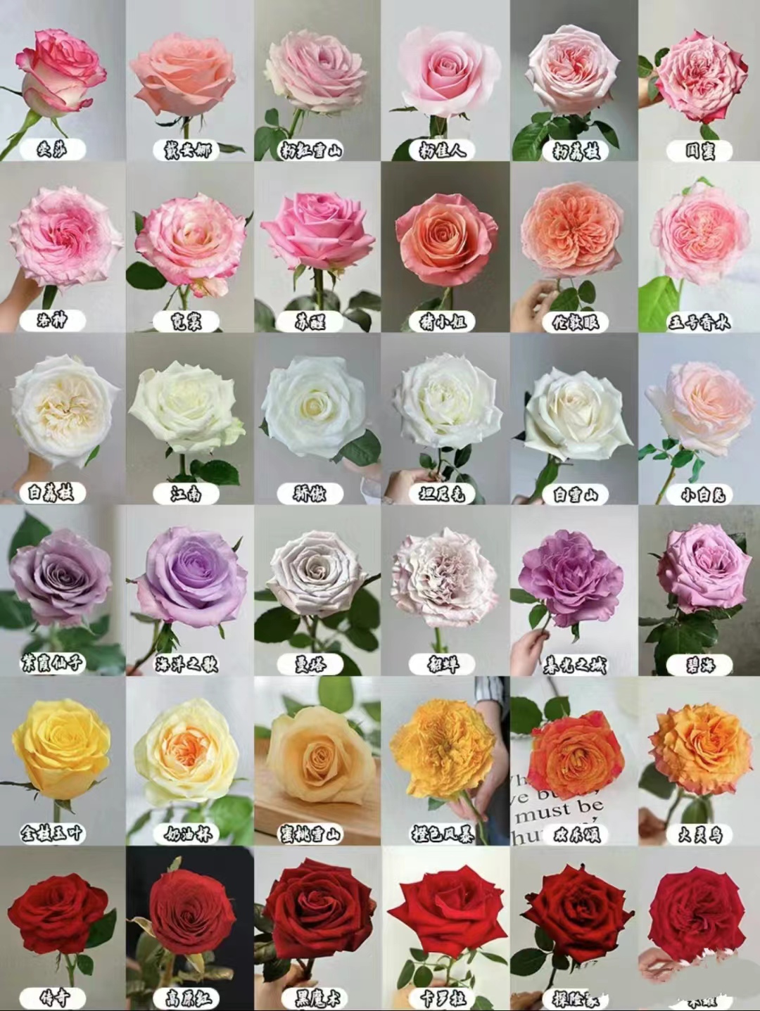 【浪漫七夕】玫瑰组合专用链接 鲜切花玫瑰【顺丰包邮】