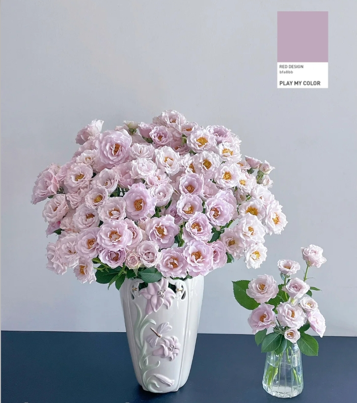 【半岛花铺】粉色纯真 多头玫瑰任意2单或以上包邮发货鲜切花