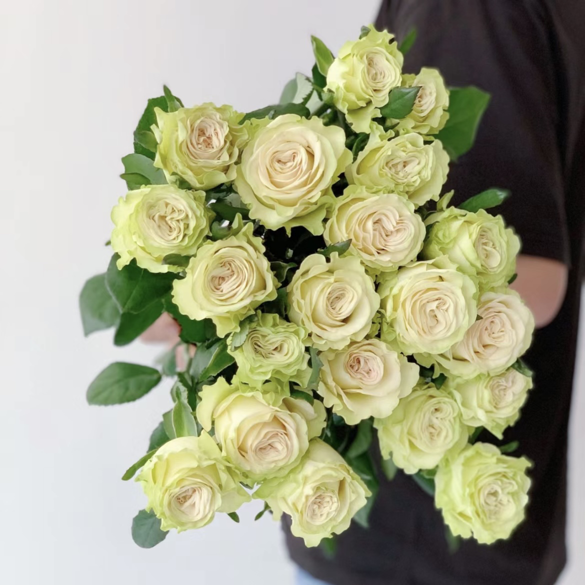 【半岛花铺】琉璃翠 单头玫瑰 云南高品质鲜花  任意两单发顺丰