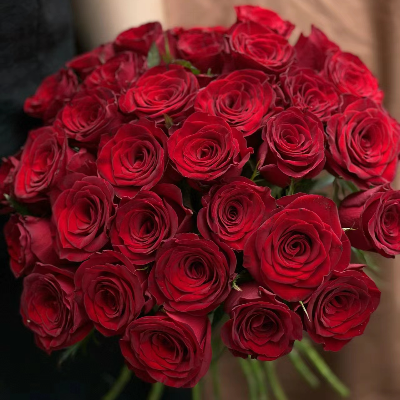 【半岛花铺】传奇 单头玫瑰  红色系 花期长 云南昆明基地现采现发 