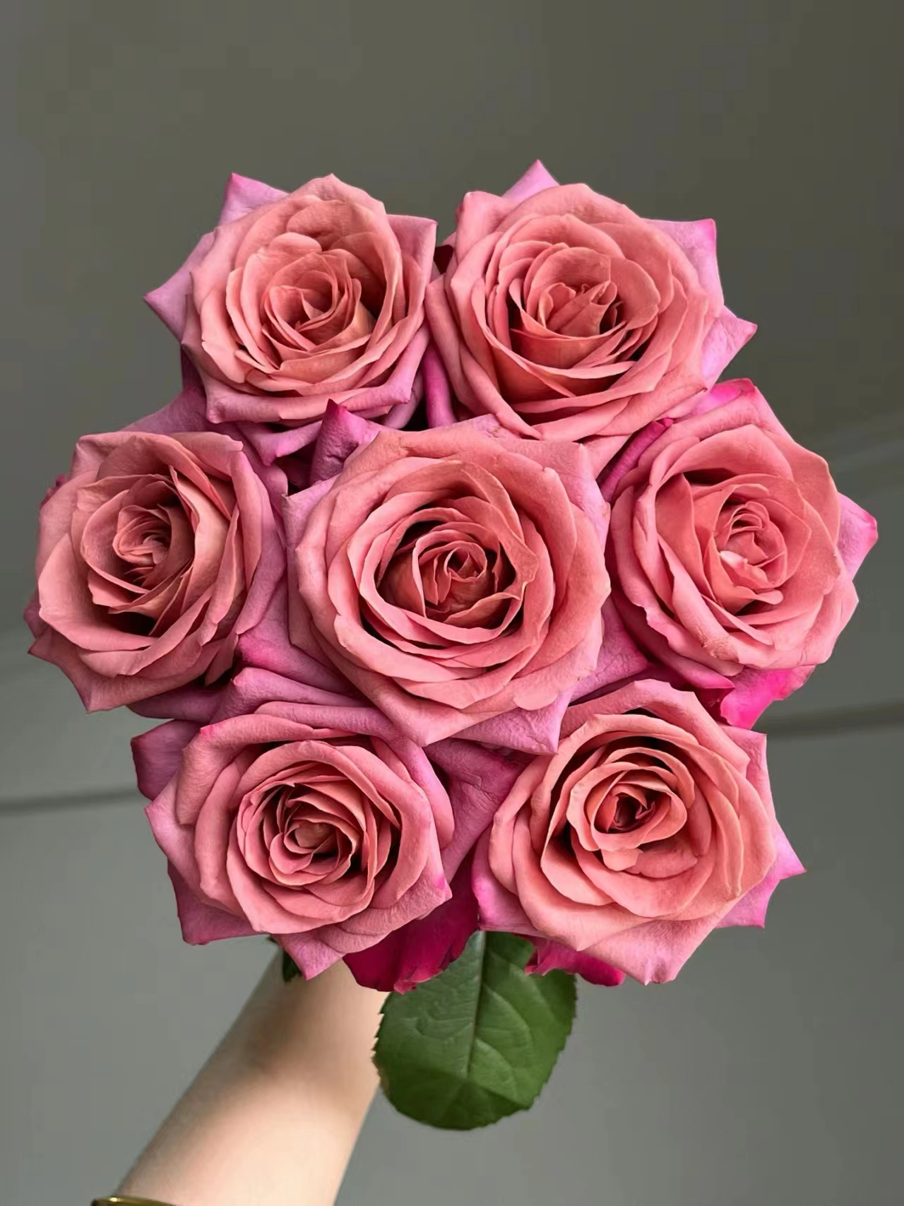 【半岛花铺】调香师 稀有单头玫瑰 任意2单或以上包邮发货鲜切花