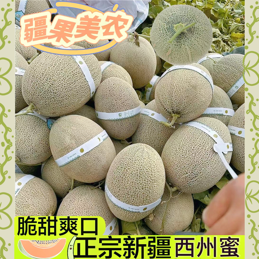 正宗新疆哈密瓜甜蜜爽口脆甜