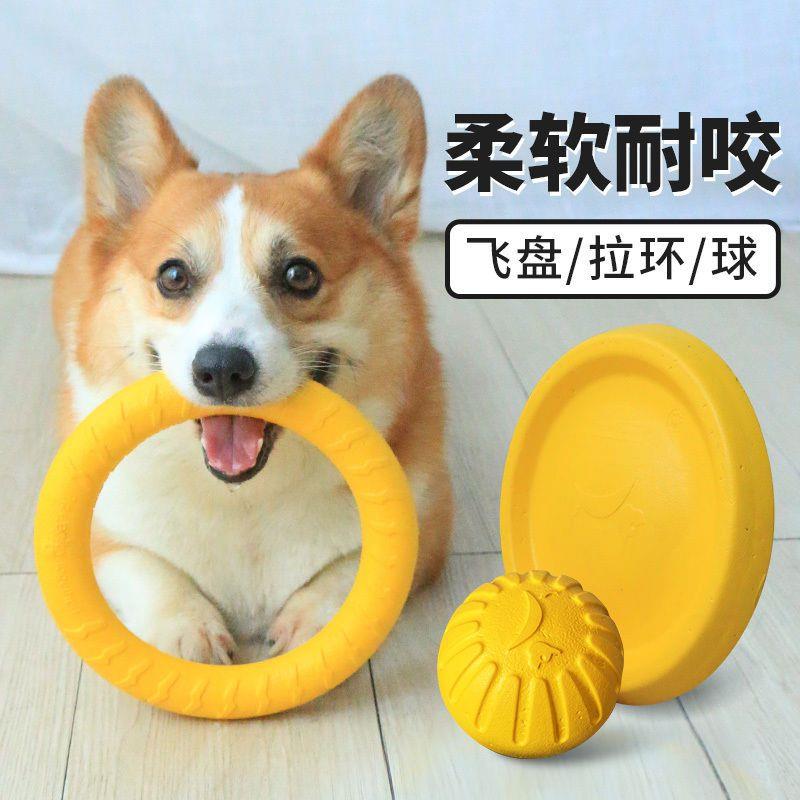 狗狗飞盘训犬玩具毛拉布拉多耐咬玩具互动环大中小型犬解闷神器