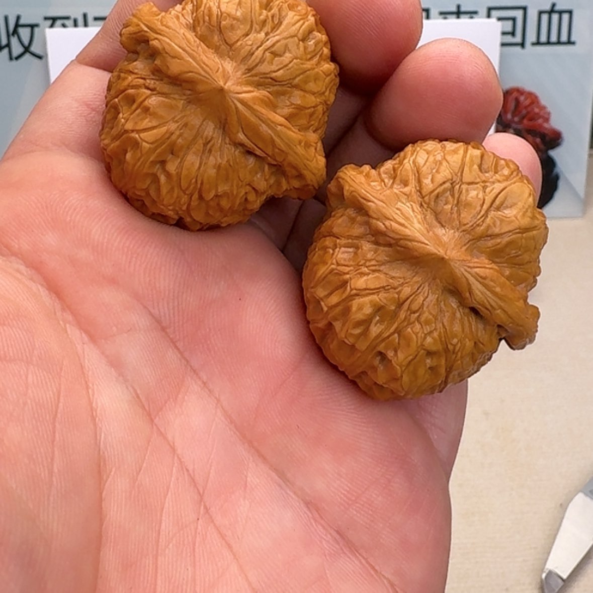 【闪购商品】核桃核雕南瓜墩40