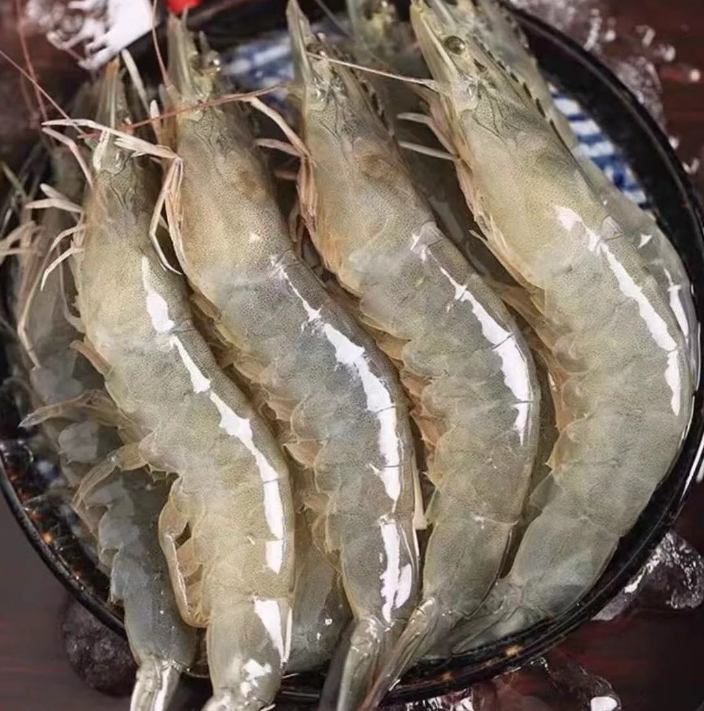 连云港发货 冷冻海洋大虾4050规格 1000g/包