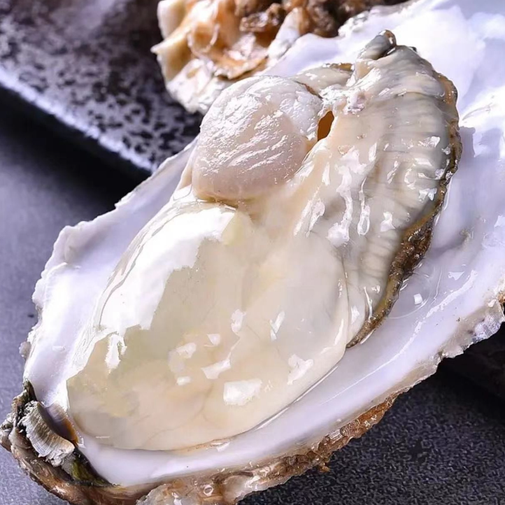 精选大个鲜活生蚝牡蛎 肉质饱满 一斤3个左右 到手7斤＋生蚝工具 