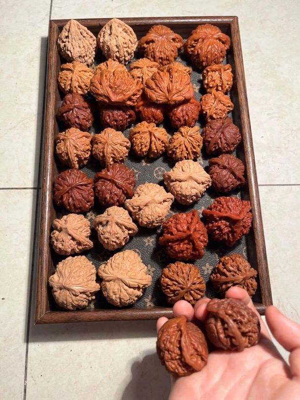 文玩核桃专拍链接