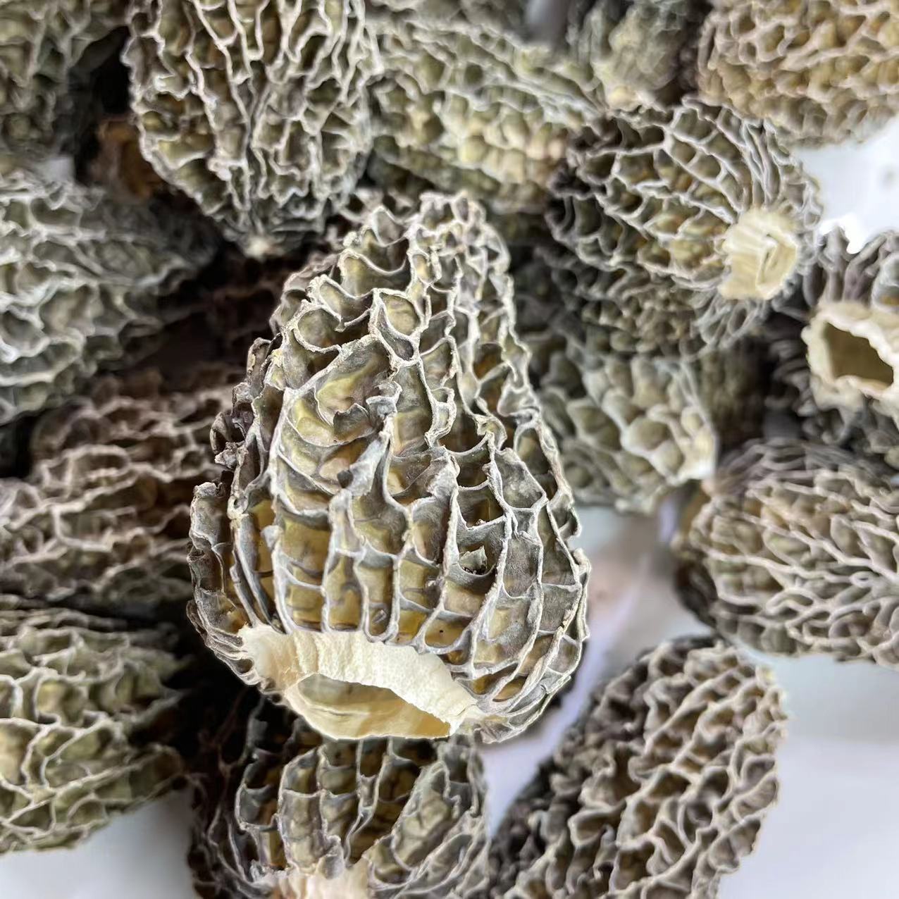 和泰隆  头茬羊肚菌仿野肚菌260头   枸杞汤料 1~500克