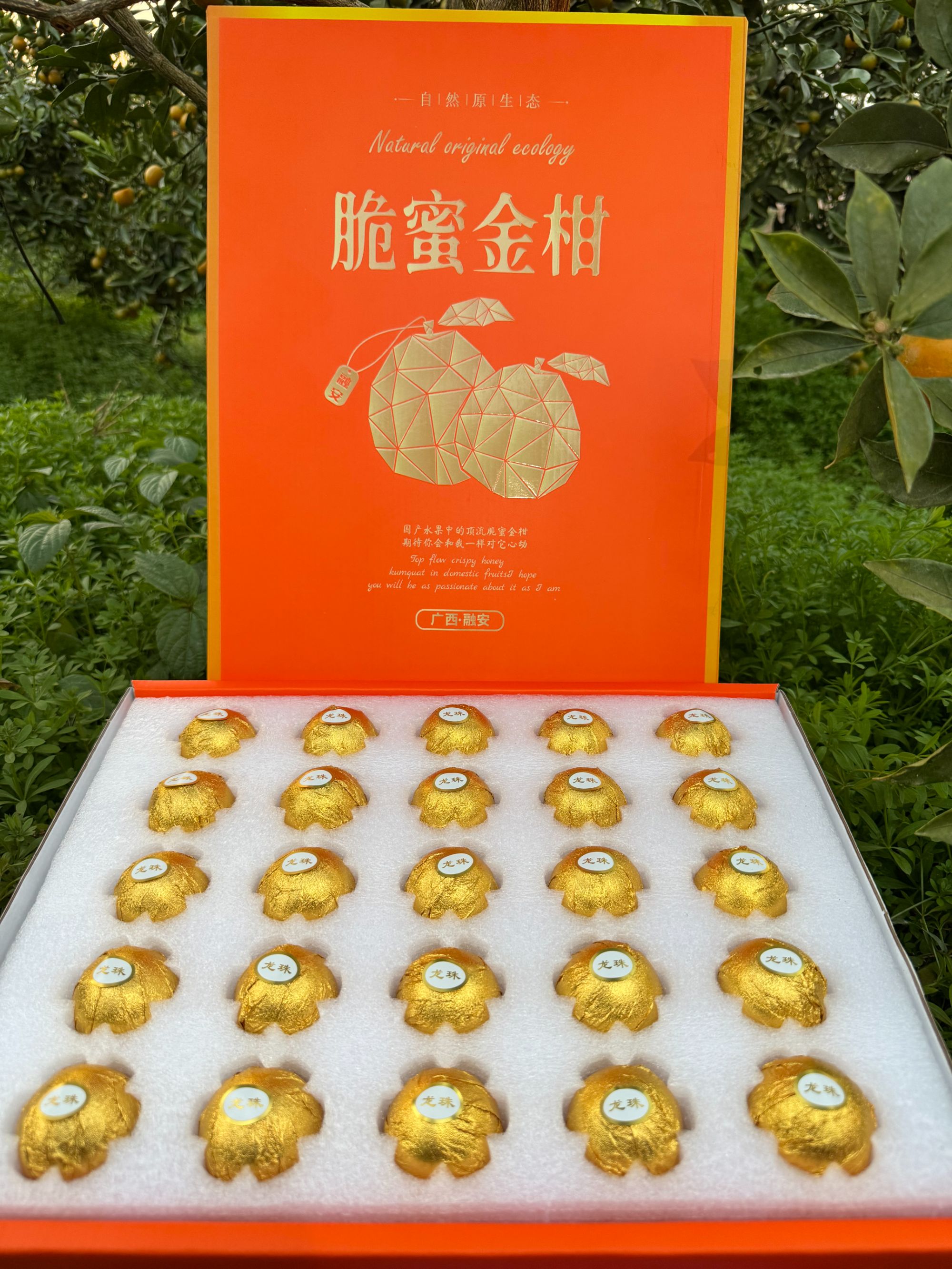 【金箔纸包装】广西融安第三代脆蜜金柑