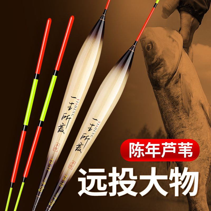 买一送一带壳芦苇正品远投大物矶钓湖库江河传统钓大物带壳芦苇漂