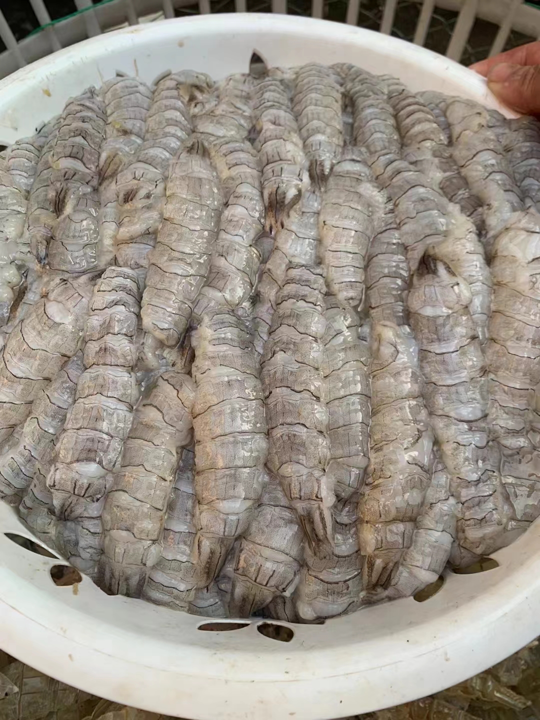 爬爬虾肉发货5斤