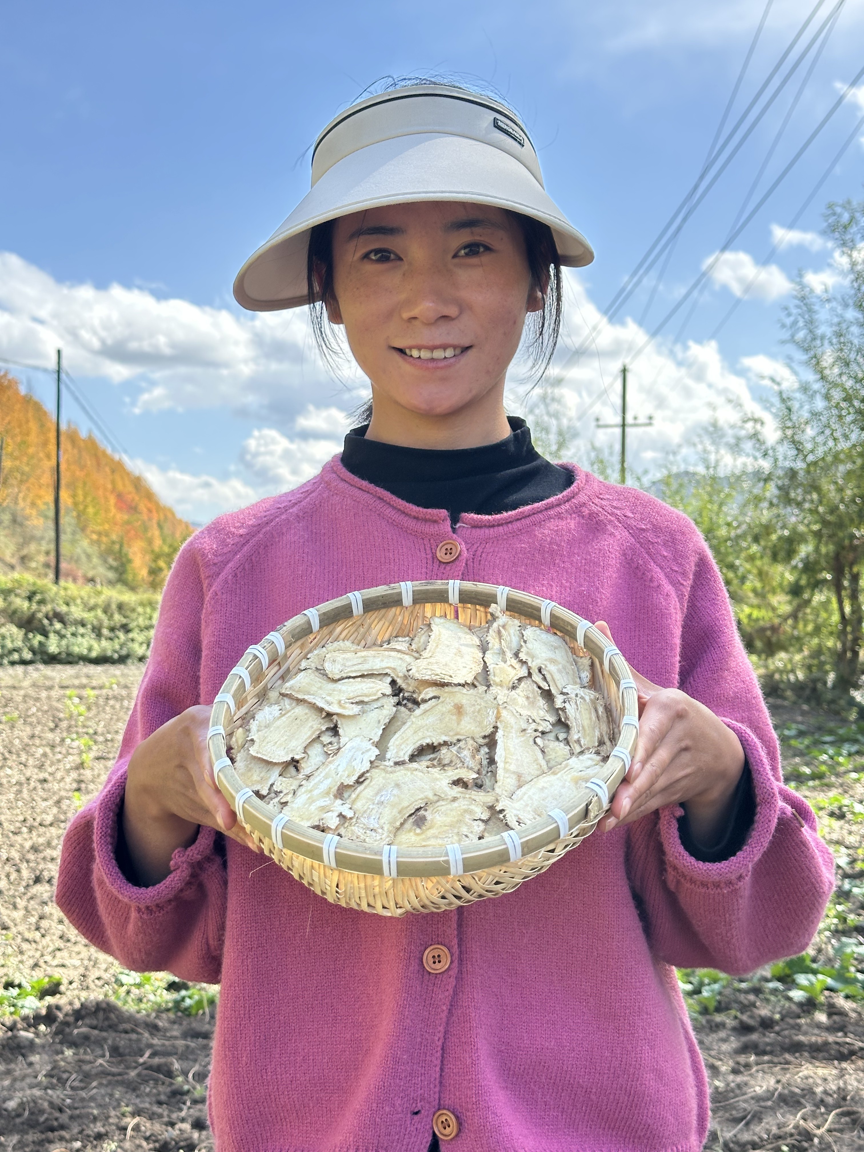 【当归头片】精选大片 甘肃岷县当归头片 泡水煲汤 无硫无薰无添加