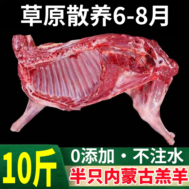 【6-8个月半羊】10斤切块发出羊前腿羊后腿羊蝎子羊排50%腿排