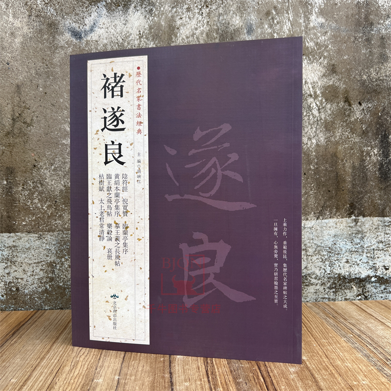 褚遂良 历代名家书法经典 阴符经倪宽赞临兰亭集序临王羲之飞鸟帖