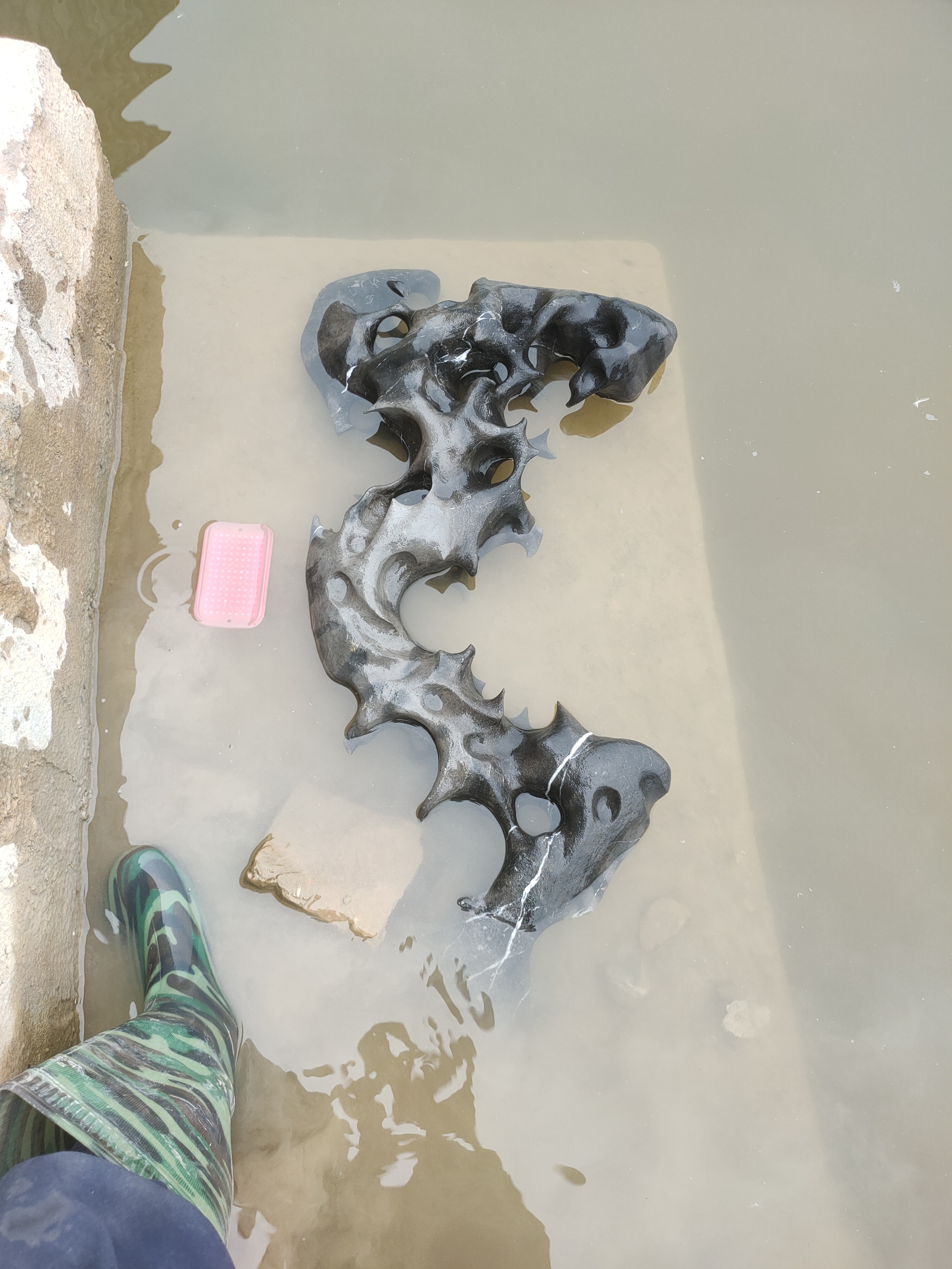 广西太湖石盆景石