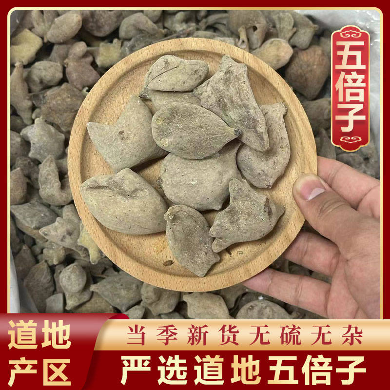 山鼎药业【五倍子】正宗精选货 五倍子 精选新货五倍子整个煮水