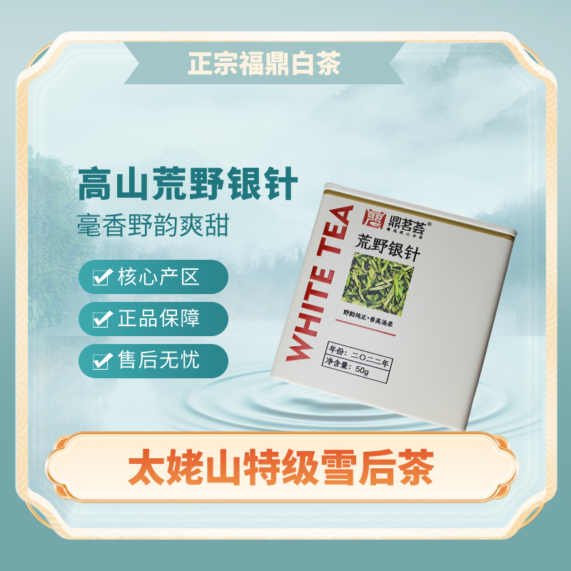 【太姥山特级荒野银针茶】福鼎高山产区白茶毫香蜜韵鲜爽耐泡铁罐装