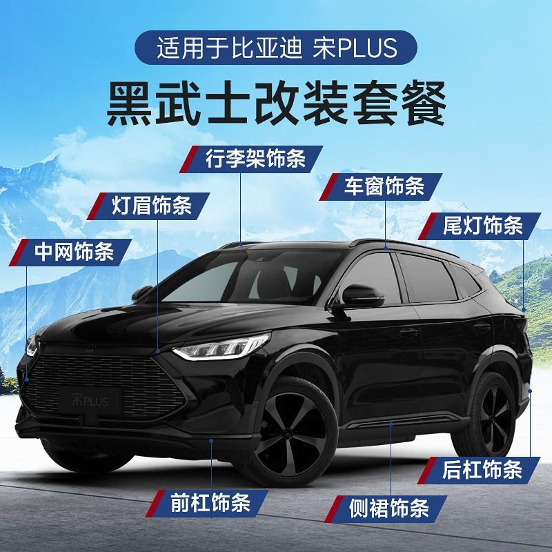 适用于比亚迪宋Plusdmi中网改装配件黑武士前脸饰条黑化外观用品
