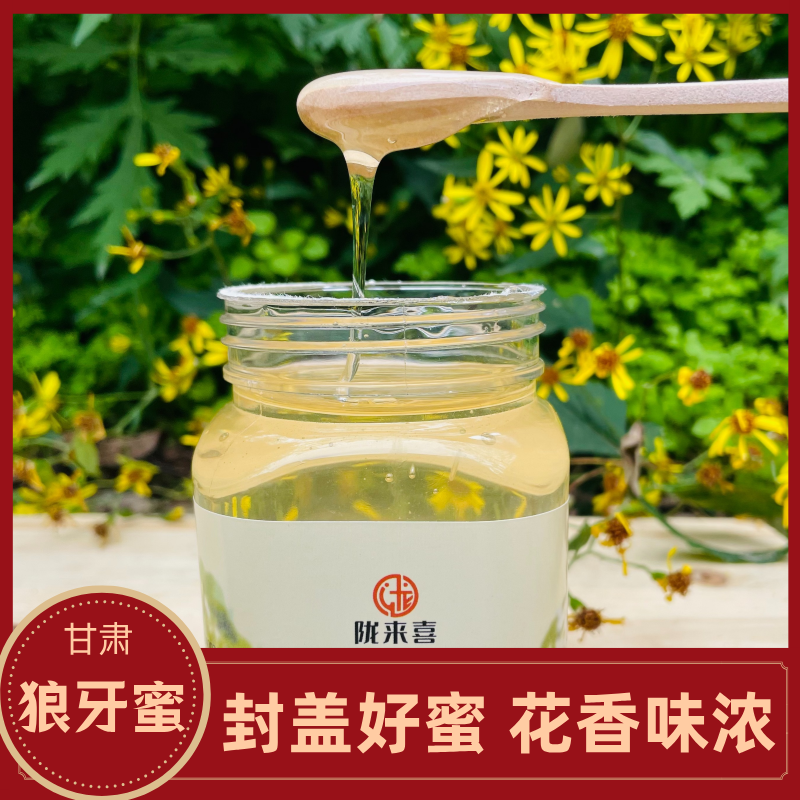 甘肃狼牙蜜  洋槐罐装 包邮