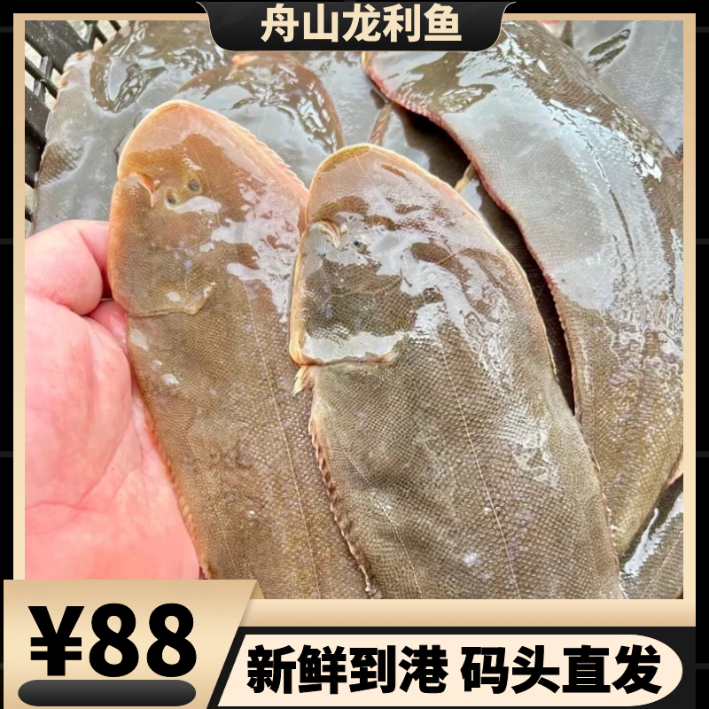 到手4斤 一斤4条 舟山野生龙利鱼 新鲜发货