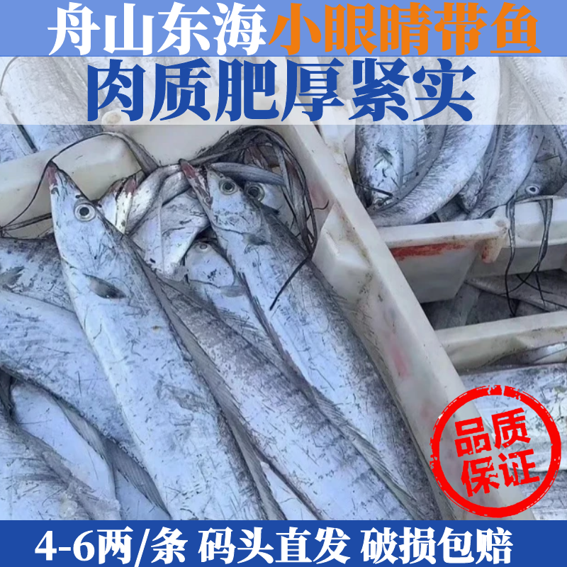 《双》4-6两/条到手8条舟山东海小眼睛整条油带鱼可蒸可煮鲜冻发货
