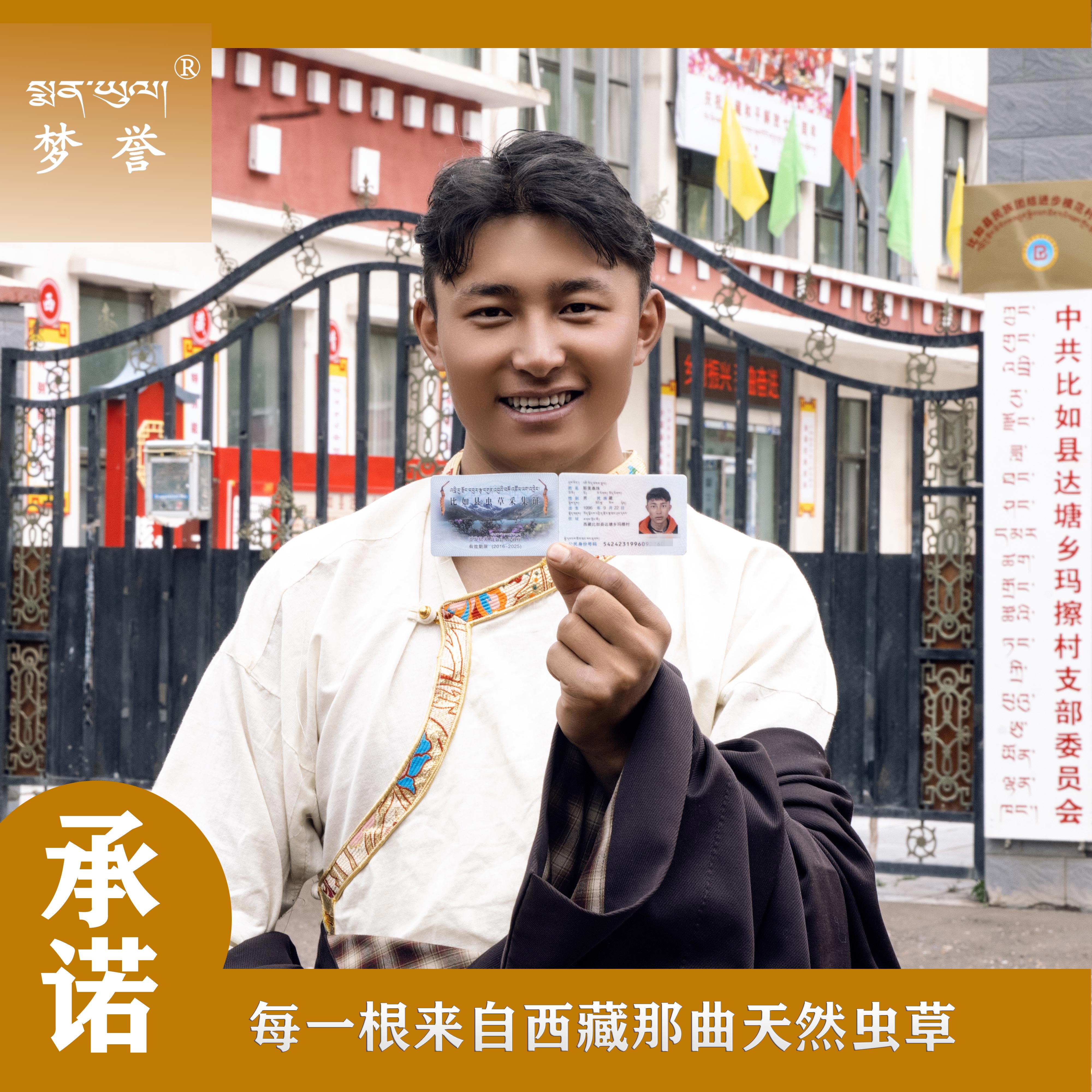 那曲比如虫草 4根一克 可以免费试吃一根