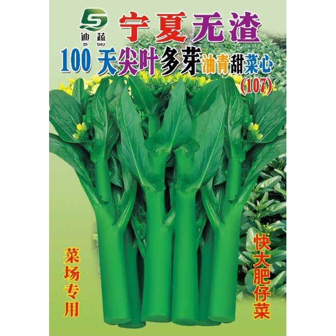 菜心种子107*宁夏无渣100天尖叶多芽油青甜菜心种籽