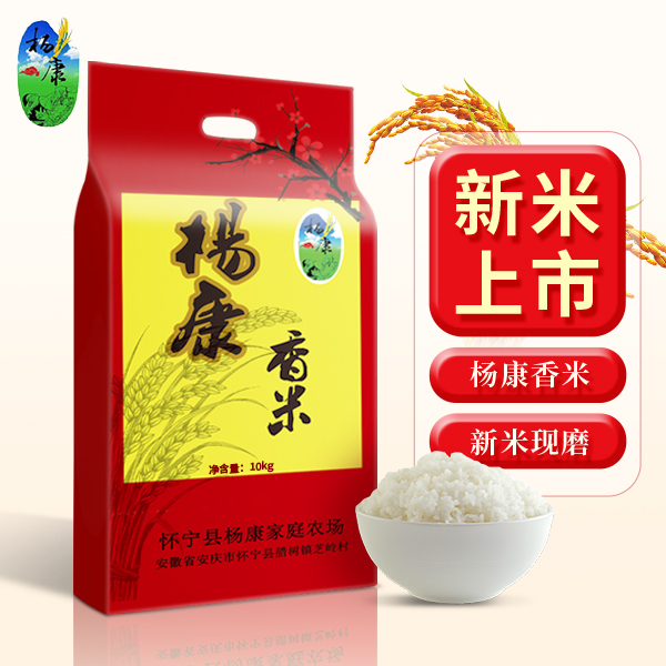 杨康香米大米丝苗米油粘米煲仔饭炒饭专用米5/10斤包邮