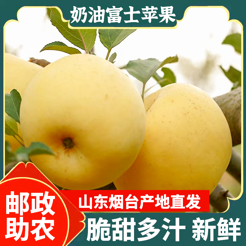 【邮政助农】奶油苹果山东烟台黄金富士脆甜多汁丑冰糖心新鲜水果