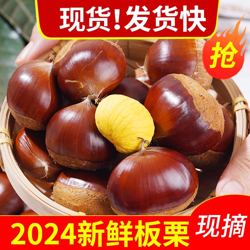 【2024新货】正宗辽宁丹东现摘板栗净重4.8-5斤带壳生栗子
