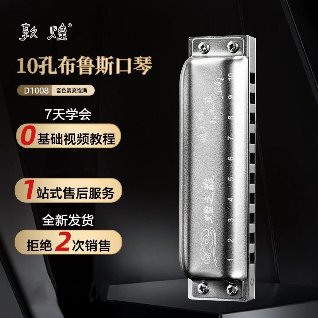 敦煌煌之巅高档十孔布鲁斯蓝调10孔口琴成人专业演奏入门D1008