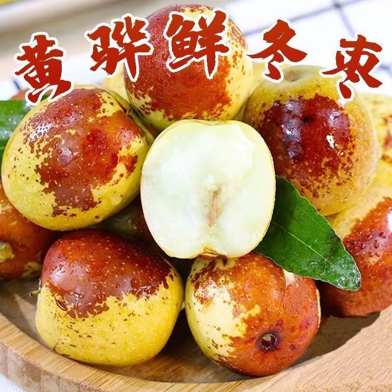 河北黄骅正宗原产地品质新鲜冬枣普通5斤包邮脆甜多汁坏果包赔