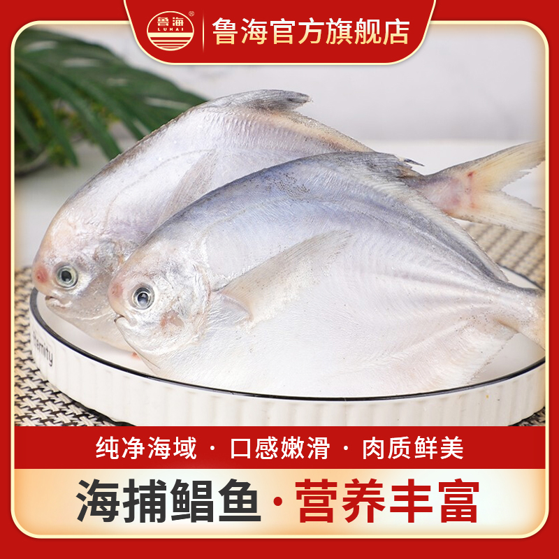 LUHAI/鲁海胶东海捕鲳鱼冰鲜 肉质细嫩营养美味深海捕捞产品细腻