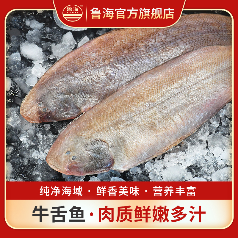 LUHAI/鲁海牛舌鱼 3斤/份 野生海捕 新鲜 海鲜水产 济南发货