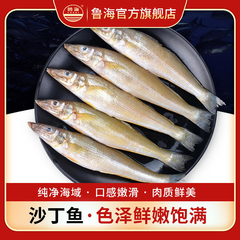 LUHAI/鲁海冰鲜沙丁鱼（3斤/份）冷冻海鲜水产肉质鲜嫩