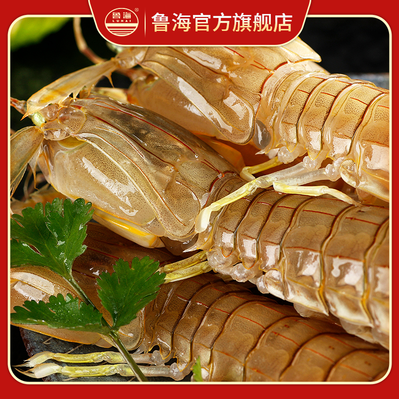 皮皮虾 虾爬子（多规格 3斤 5斤任选）肉质鲜嫩 顺丰闪送