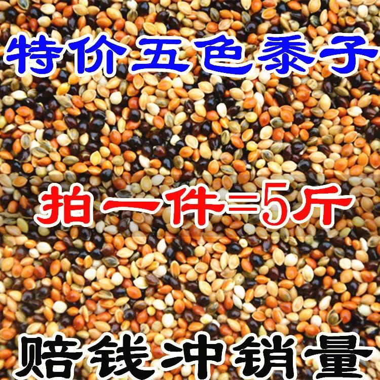 鹦鹉饲料鸟粮混合粮食玄凤虎皮牡丹鸟食食物五色黍子谷子带壳5斤